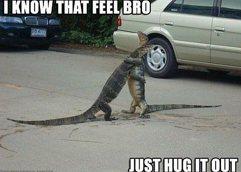 baww_hug_it_out_reptiles.jpg