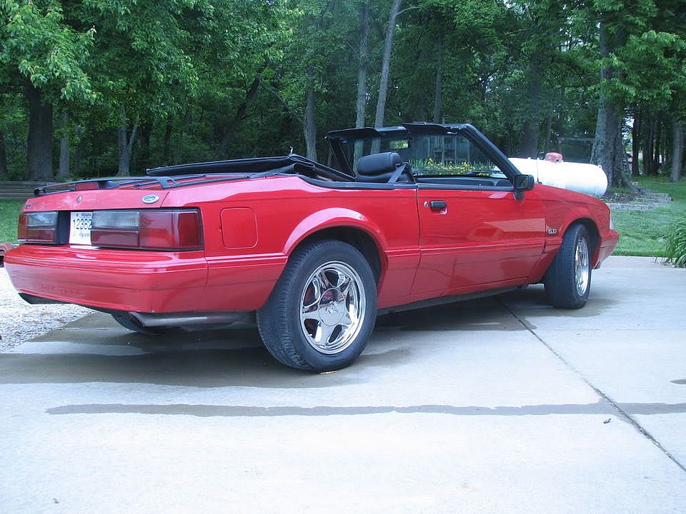 Mustang021.jpg
