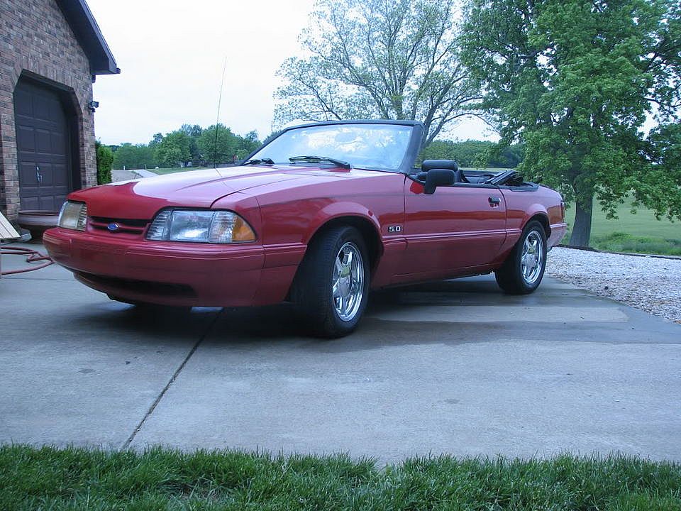 Mustang022.jpg