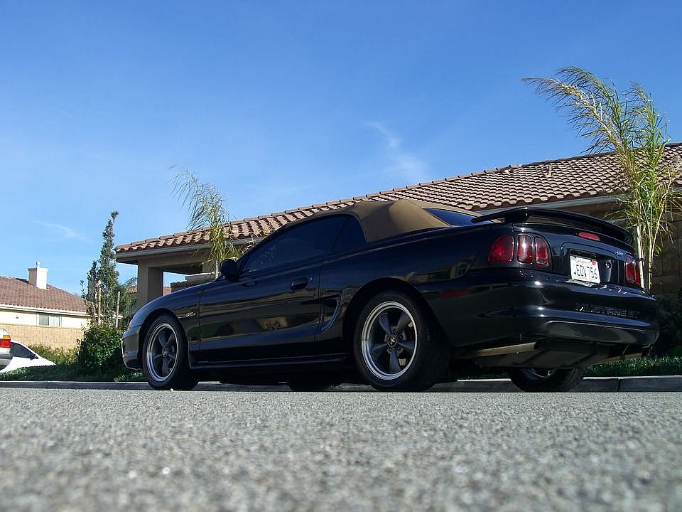 Mustang035.jpg