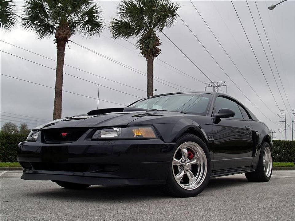 Mustang3Large.jpg