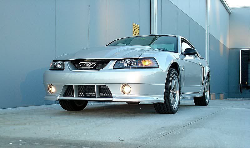 Mustang6-18-07013.jpg