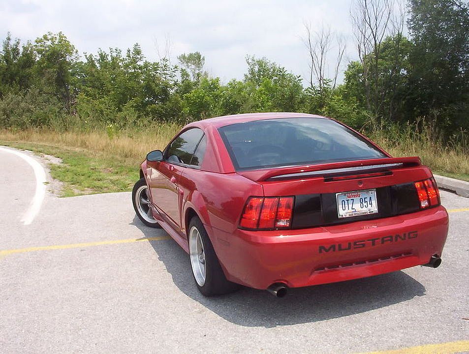 Mustang608.jpg