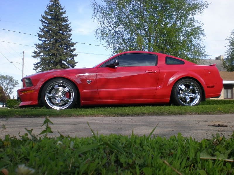 MustangMay2011018.jpg