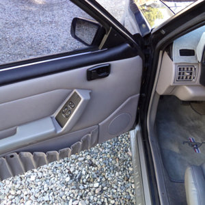 Driver's Side Door Panel