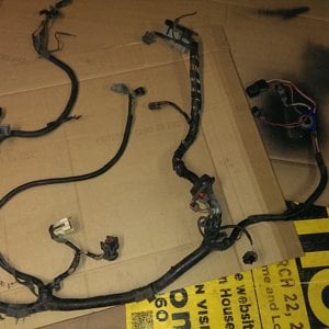 Main and FI harness before