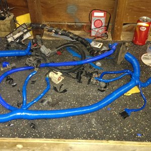 89 Main harness AFTER
