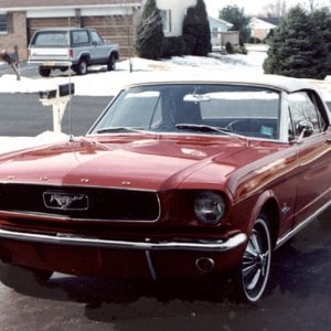 Our 3rd Mustang