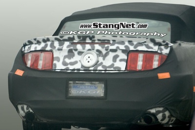 Camouflage Mustang