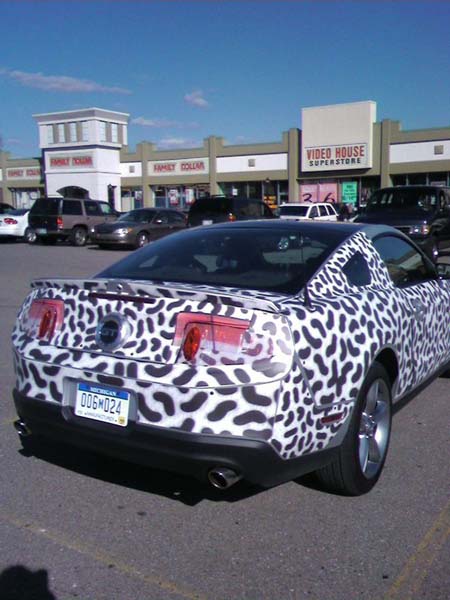 2010_mustang_spy_parked_2.jpg