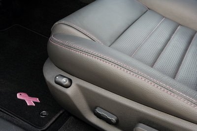 2009 Ford Mustang - Warriors in Pink