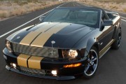 shelby_gth_vert_180_051908.jpg