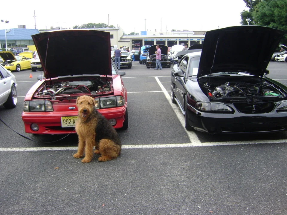 dsc02856-jpg.539306