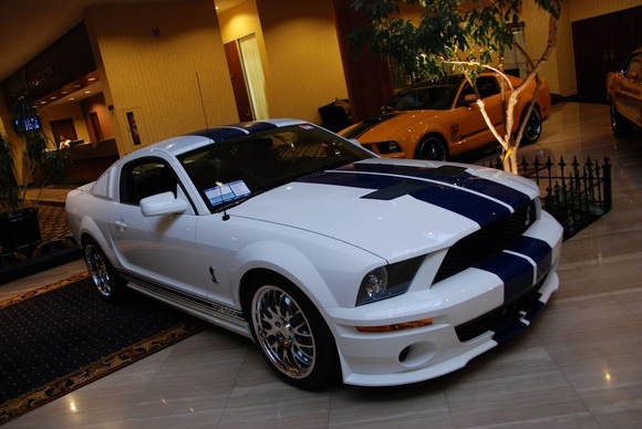 DSC_0080 Displayed in the hotel lobby at the 2007 Mid America Event