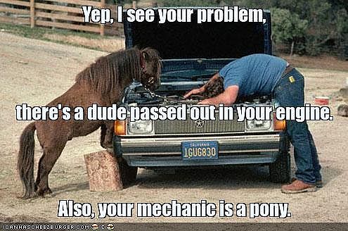 funny-pictures-pony-mechanic[1].jpg