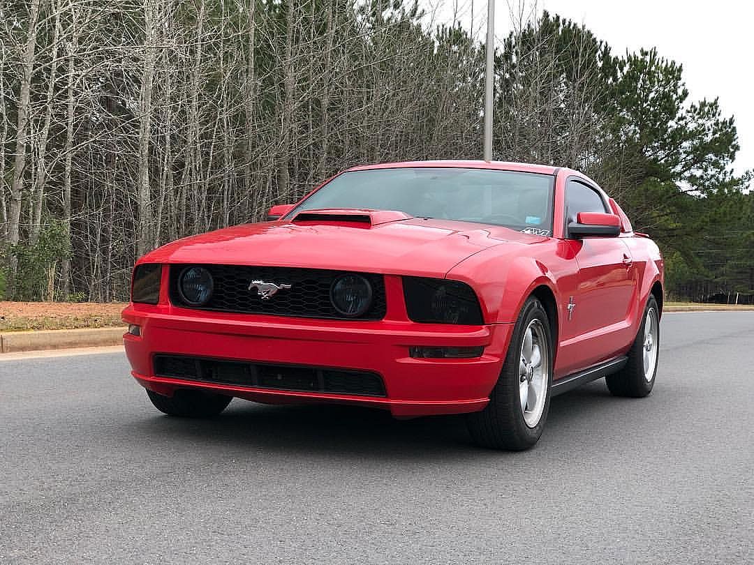 Mustang - chase.jpg