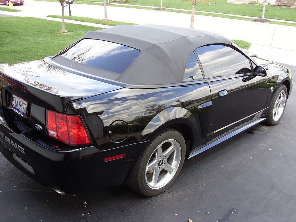 Mustang003.jpg
