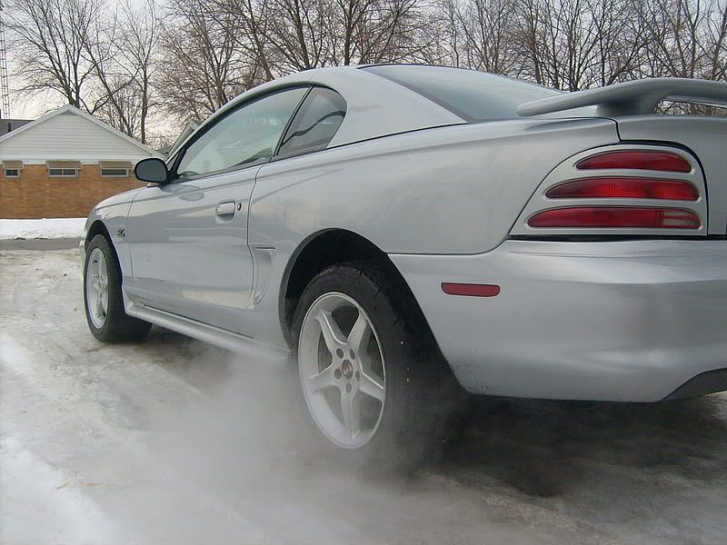 Mustang004.jpg