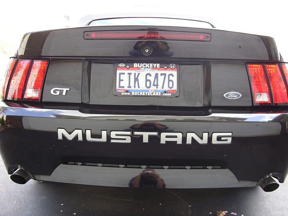 Mustang009.jpg