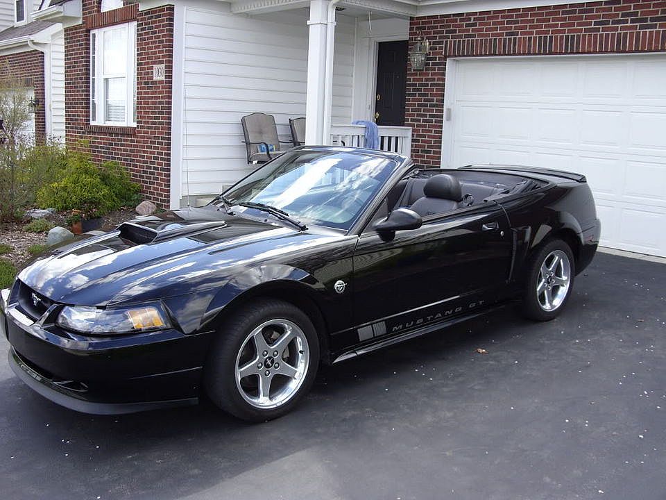 Mustang013.jpg