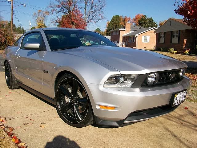 Mustang015.jpg