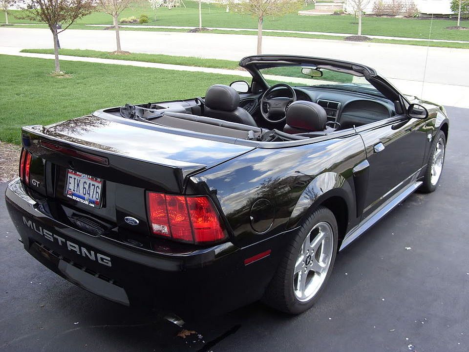 Mustang015.jpg