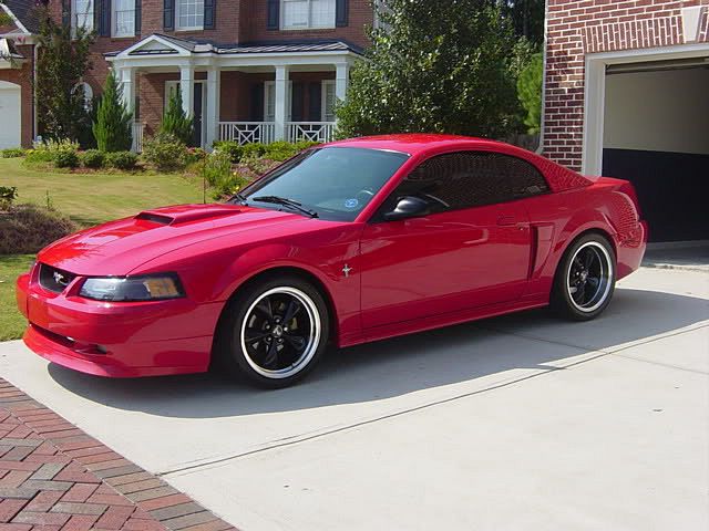 Mustang099.jpg