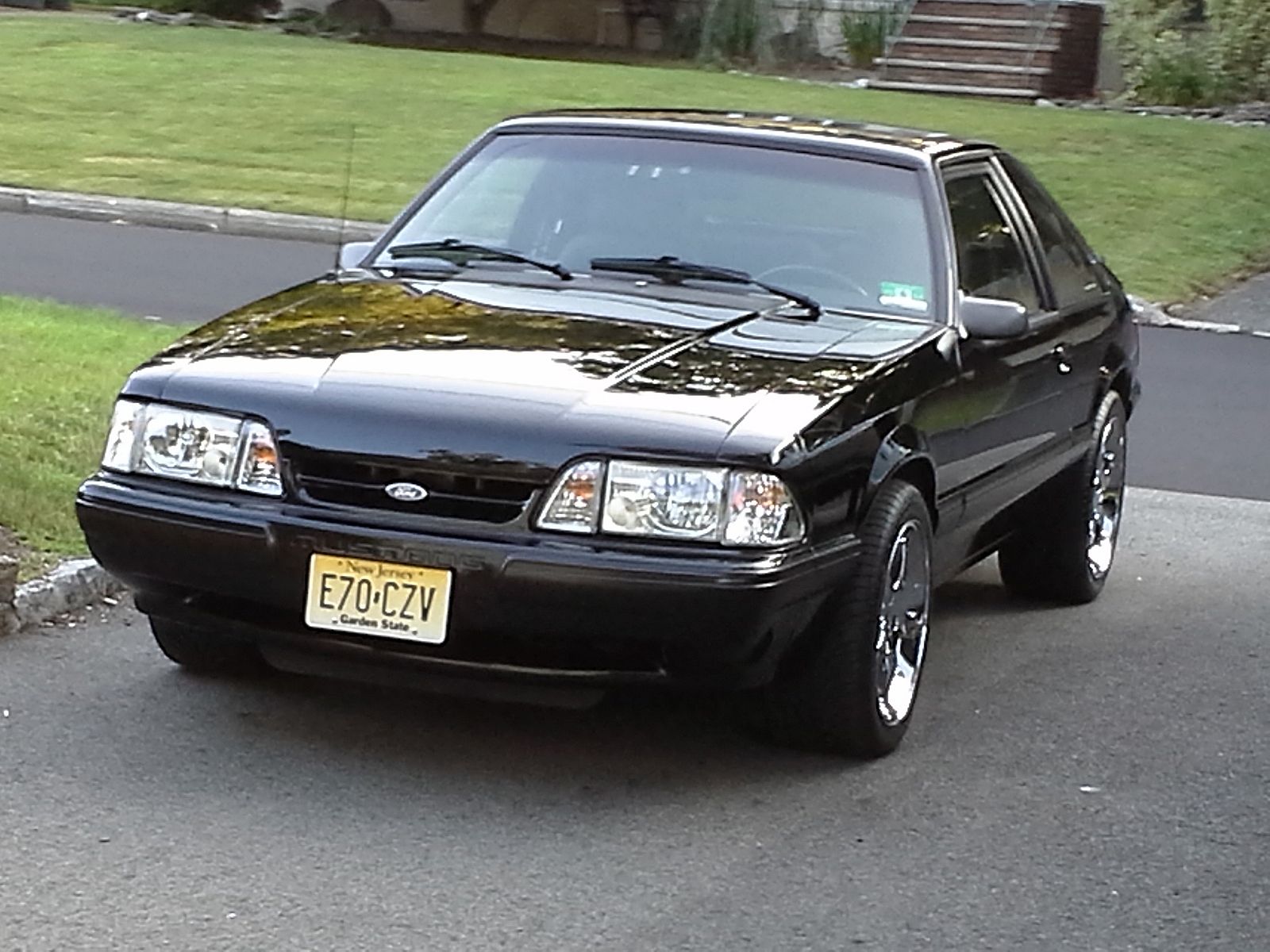 Stang front pic.jpg