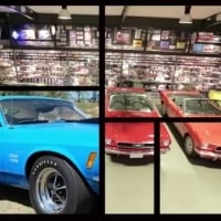 The Man with 5,500 Mustangs - YouTube