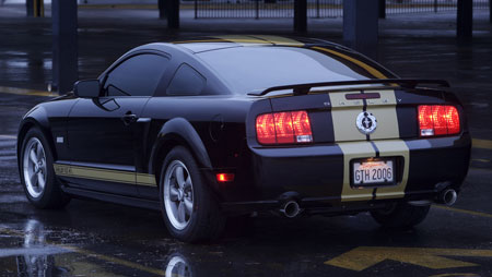 shelby-gth_4.jpg