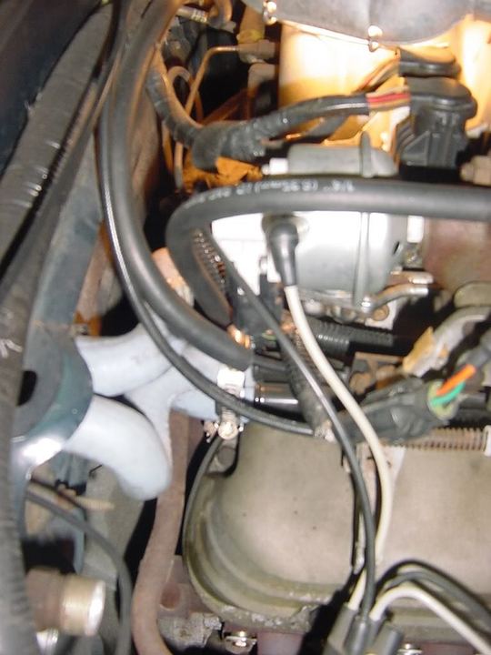 1990 5.0 Mustang vacuum/emissons issues | Mustang Forums at StangNet
