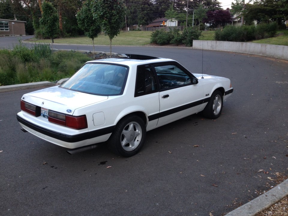 SOLD - 1989 Notchback 5.0 5-speed Ssp | Mustang Forums at ...