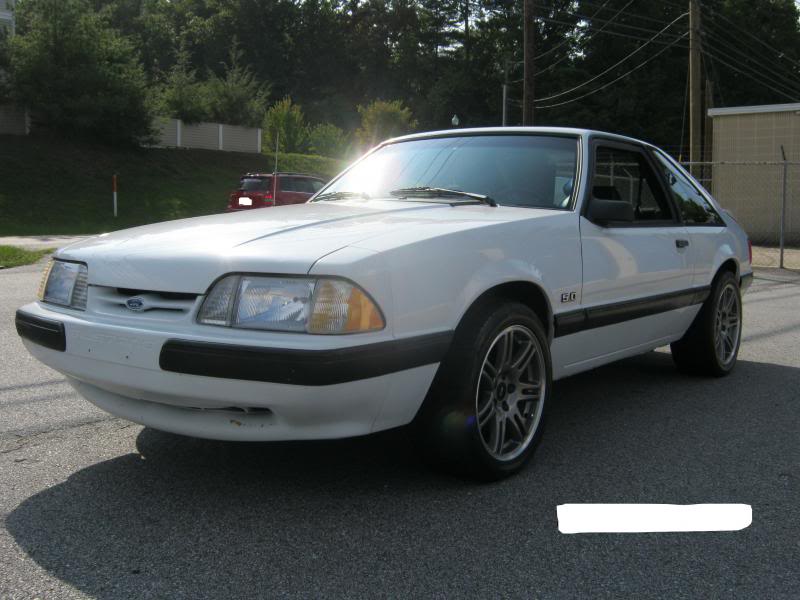 Mustang5.jpg