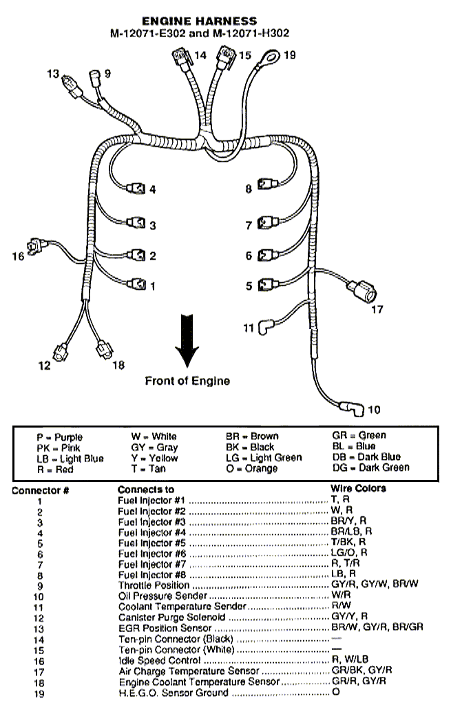 Ford F150 Engine Wiring Harness Diagram from www.stangnet.com