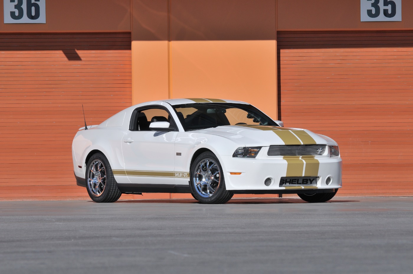 Shelby American 50th Anniversary Ford Mustang models - StangNet